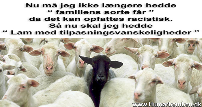 Familiens sorte får