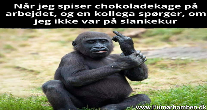 Når jeg spiser chokoladekage på arbejdet